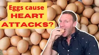 Do eggs cause heart attacks?