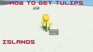 How to get TULIPS - Islands - Roblox