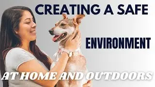 Pet Safety: Creating a Safe Environment at Home and Outdoors