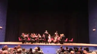 E C O Concerto