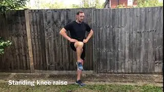 Standing Knee Raise