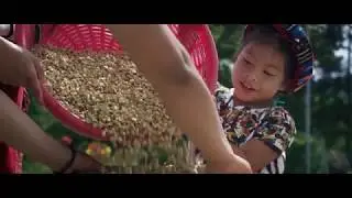 GUATEMALA, Coraz&oacute;n del Mundo Maya (2019) - Tr&aacute;iler Oficial