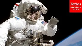 Long-Term Space Travel Can &lsquo;Rewire&rsquo; Astronaut&rsquo;s Brains, Study Suggests