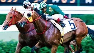 2001 The HKSAR Chief Executive's Cup - Cliffhanger (分曉) - 馬偉昌