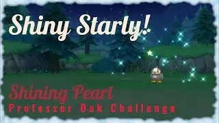 Found a Random Shiny Starly! (Prof. Oak Challenge in BDSP)