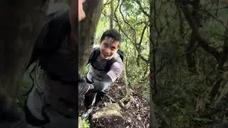 Mt. Arayat Quad Peak Circuit #mtarayat #mtarayatquadpeak #hiking 