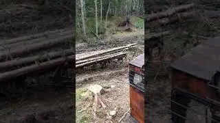 Два трактори Тдт 55, Лкт 81 Загрузка.