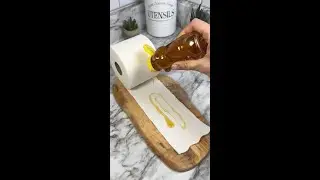 Put honey on a piece of toilet paper, and you'll be amazed by the result! (BUG-FREE)