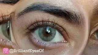 Freshtone Ivory - (Brilliant Eyes)