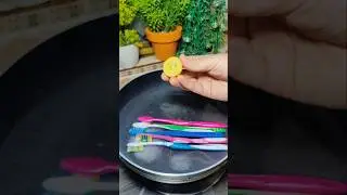 Remember This Tip! Just Boil Toothbrushes & See the Magic 😱 #shorts #youtubeshorts #trendingshorts