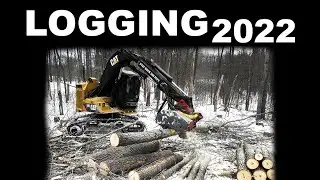 LOGGING A CLEAR CUT - Modern Lumberjacks