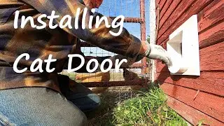 How to Install a Pet Door