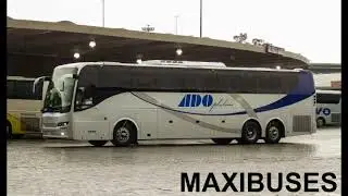 Ado platino. evolución