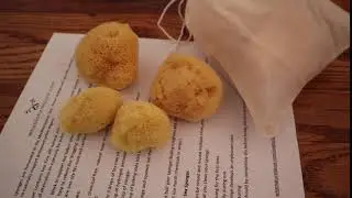 Period and Menstrual SEA SPONGES - A pleasure for your period