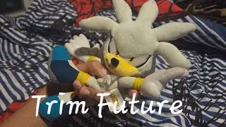 Sonic's Hair Review: Trump Future
