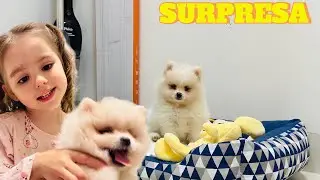 MELINA GANHOU UMA SURPRESA DE ANIVERS&Aacute;RIO | MELINA SHOW