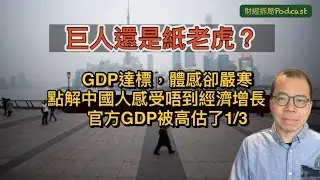【巨人還是紙老虎？】 官方GDP被高估了1/3 ——點解中國人感受唔到經濟增長？（自選字幕）