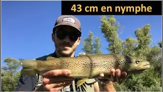 P&ecirc;che de la truite sur le Verdon : Belle truite de 43 cm contre la berge #PourVictor