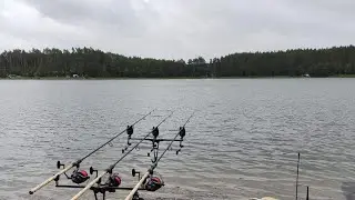 new update mangladam #fishing #carpfishing #nasirkhokharshikari #mangladamfishing #fish_catching