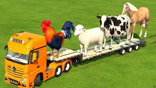 ANIMAL TRANSPORT ! TRANSPORTING ANIMALS  WITH TRUCK ! Farming Simulator 22 !
