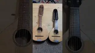 Piccolo Bandurria and Bandurria - Philippines 🇵🇭