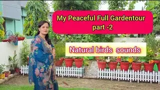 My full Gardentour||diy Garden||Part-2||🪴🌸🌴😍#youtub#diy #decoration #geetvibes11 #trending
