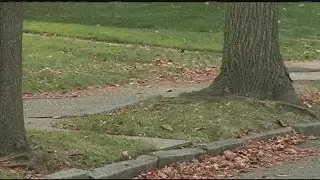 When is the best time to stop mowing your lawn?