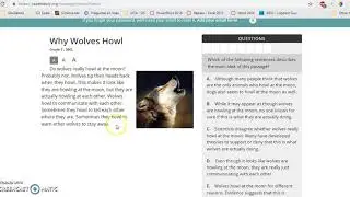 Creating a ReadTheory.org account