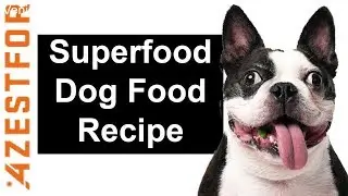 Easy Dog Food Recipes - Ingredients Venison & Lentils 🐶