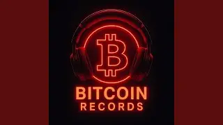 Bitcoin Flow