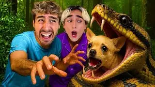 A SNAKE SWALLOWED OUR DOG! 😭💔
