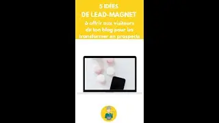 5 id&eacute;es de lead-magnet &agrave; offrir aux visiteurs de ton blog pour les transformer en prospects