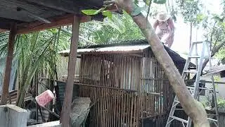 Kaunting repair sa bobong...sa kulongan ng manok.