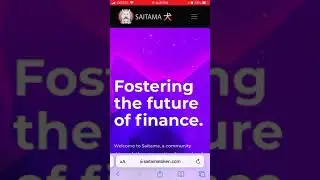 What is SaitaMask app?