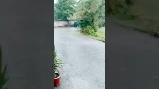 scattered thunderstorms