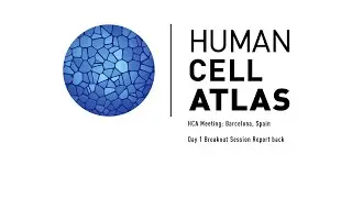 HCA Meeting: Day 1 Breakout Session Report Back