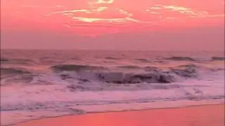 'Hot Summer'-a SoundShoot by The Soft