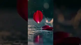 💧 Нам не судьба &mdash; любовь как дождь | Russian Sad Short | Uncommon1001