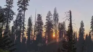 Sequoia & Kings Canyon National Parks (Sept 2021)