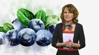 Promo Program slabeste sanatos si inteligent