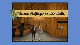 The new Haflinger￼ on star stable 🤗🤩🐎🐴