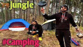 Overcoming Fear: Our First-Time Jungle Camping Experience