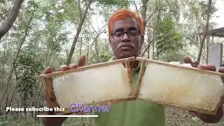 തേൻ വിളവെടുപ്പ് കാലം  By. Hameed Pookkottur Orchid honey farm. 9747786425