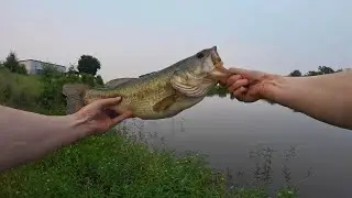 Bass Fishing with the FattyZ Lure + Shaky Head Jig Head | Bass Action