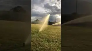 automatic irregation #short  #irrigationsystem #irrigationproject
