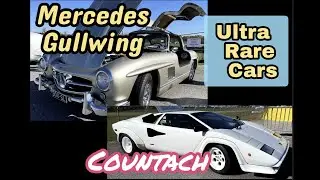ULTRA RARE CARS! Lamborghini Countach & Mercedes Gullwing
