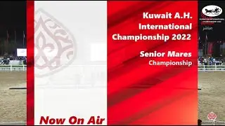 KUWAIT AH INTERNATIONAL 2022 - Senior Mares Championship (Class SMC)