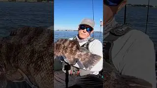 workin #tautog #blackfish #fishing #fish #fishinglife #saltlife #ytshorts #yt #fishshorts