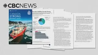 B.C. mining leader praises federal budget as climate advocates voice concern