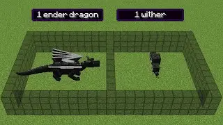 1 ender dragon vs 1 wither (who will win?)